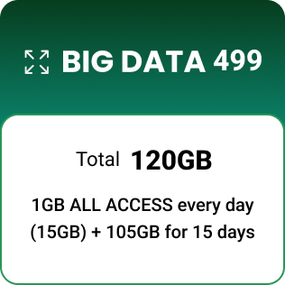 BIG DATA 499